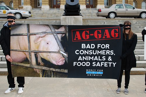 Ag-Gag protest banner (Source: Mercy for Animals)