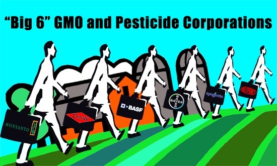 Big 6 Biotech and Pesticide Companies