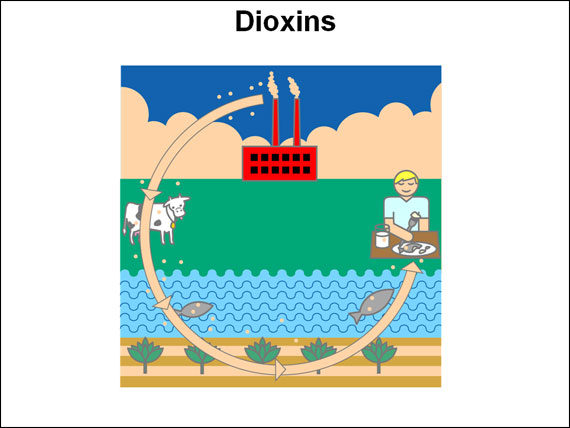 Dioxins graphic from National Cancer Institute website