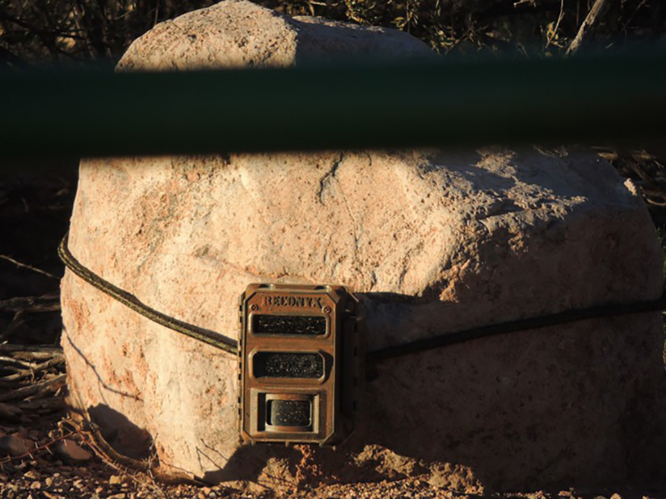 A motion-activated surveillance camera strapped to a rock near a gate in the the area of Howard Buffett's Christiansen Ranch in spring 2016. (Beau Hodai)