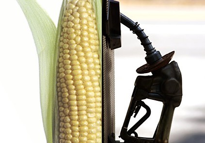 corn ethanol