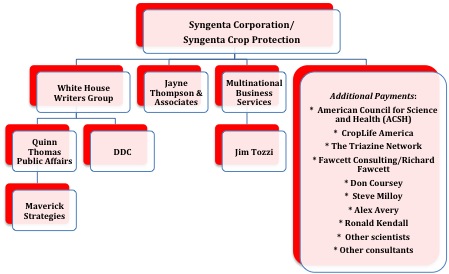 Syngenta Organizational Chart