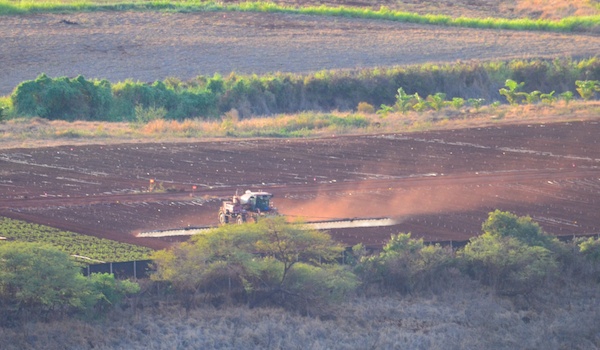 Spraying the fields (Image: Klayton Kubo)