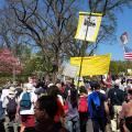 Democracy Awakening 2016