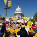 Democracy Awakening 2016
