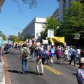 Democracy Awakening 2016