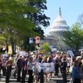 Democracy Awakening 2016