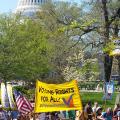 Democracy Awakening 2016