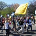 Democracy Awakening 2016